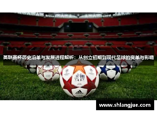 英联赛杯历史沿革与发展进程解析:从创立初期到现代足球的变革与影响 英联赛杯历史沿革与发展进程解析:从创立初期到现代足球的变革与影响