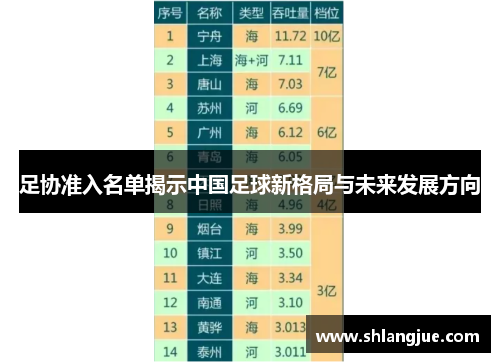 足协准入名单揭示中国足球新格局与未来发展方向