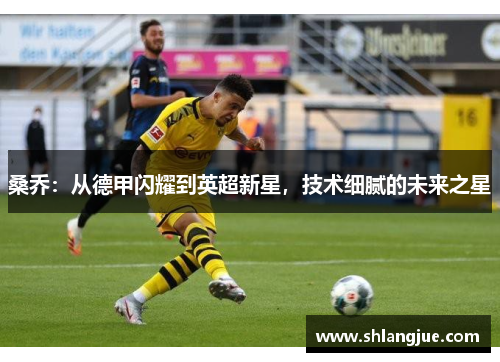 桑乔：从德甲闪耀到英超新星，技术细腻的未来之星
